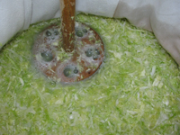 Kohl feststampfen